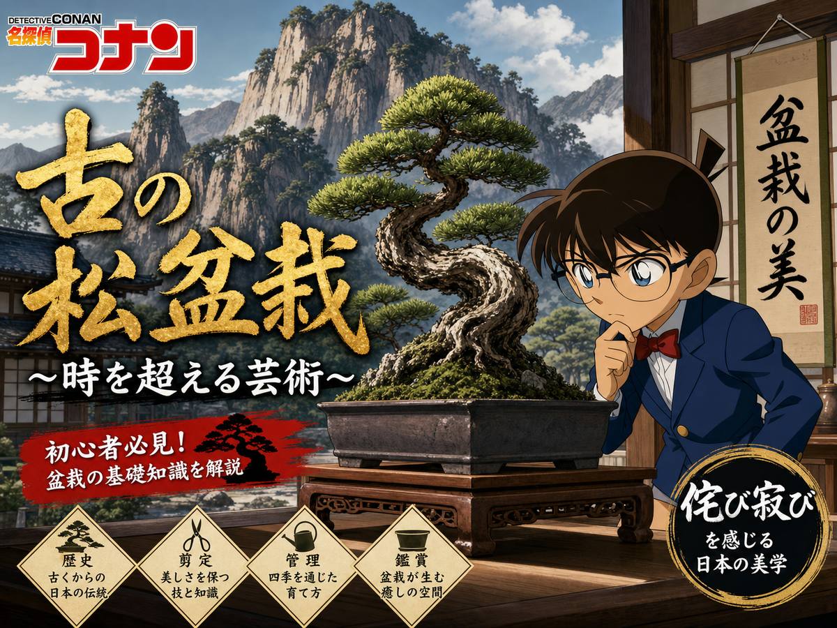 ai去衣盆栽视频